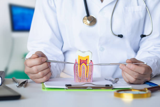 Best Emergency Dental Care for Broken or Chipped Teeth in Clarkston Heights Vineland, WA